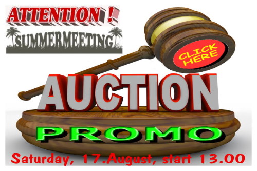 Summermeeting 2013 - Auctions promo