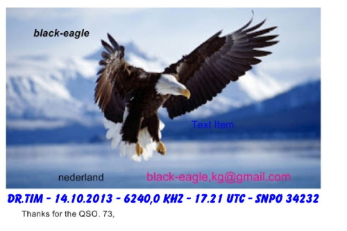 QSL Black Eagle